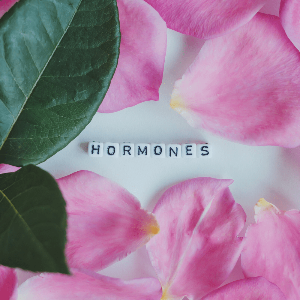 kvinders hormoner