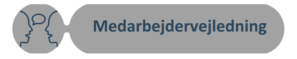 medarbejder vejledning